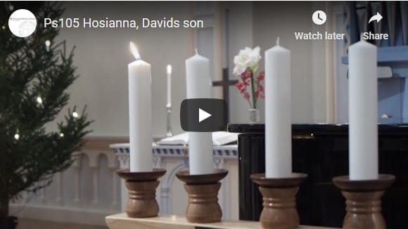 Ps105 Hosianna, Davids son